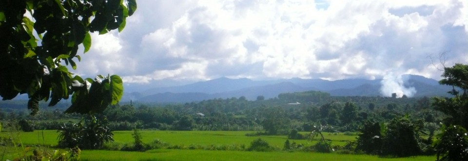 Neighborhood