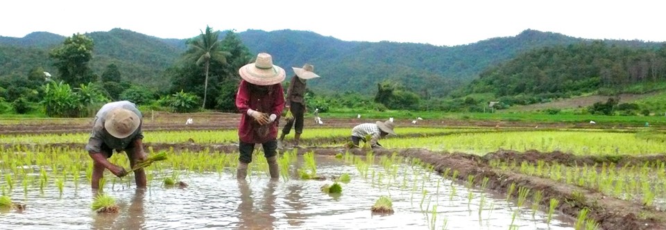 Organic Farming
